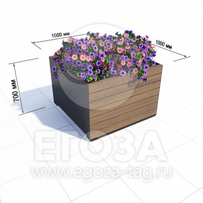 Изображение Цветник 6109