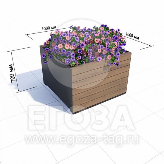 Изображение Цветник 6109